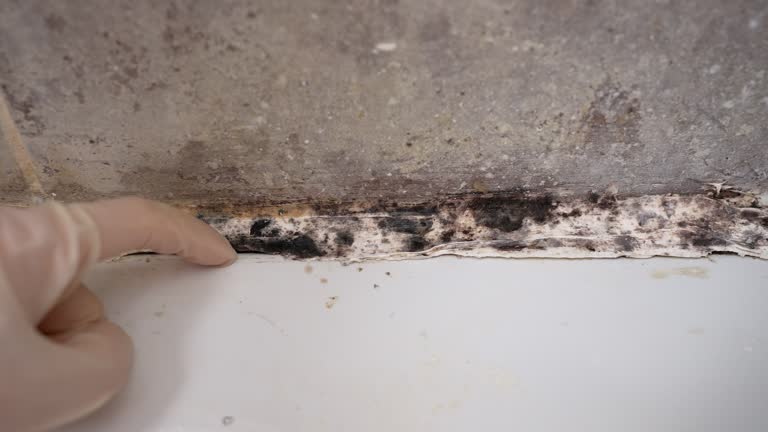 Best Indoor Air Quality Assessment  in Henrietta, TX